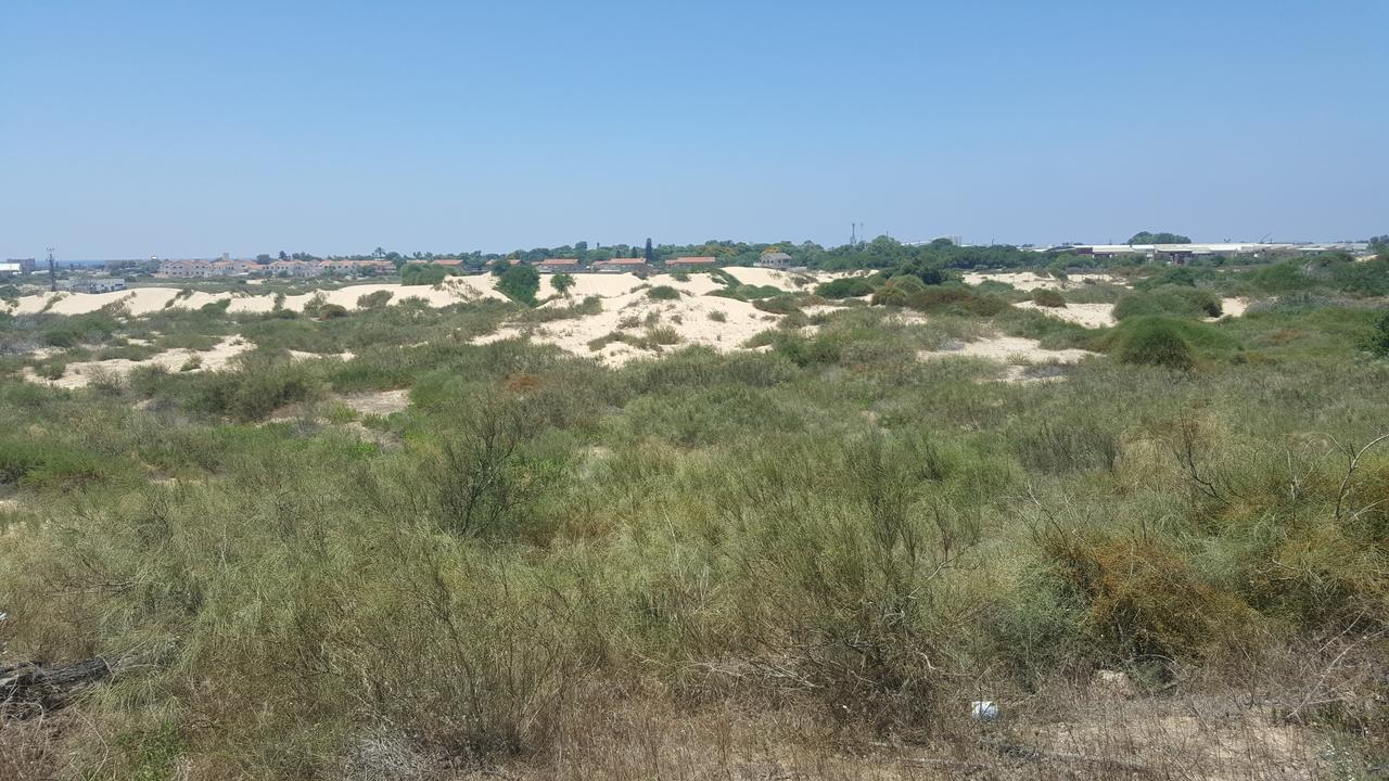 Neot Golf Caesarea Garden Apartment מראה חיצוני תמונה