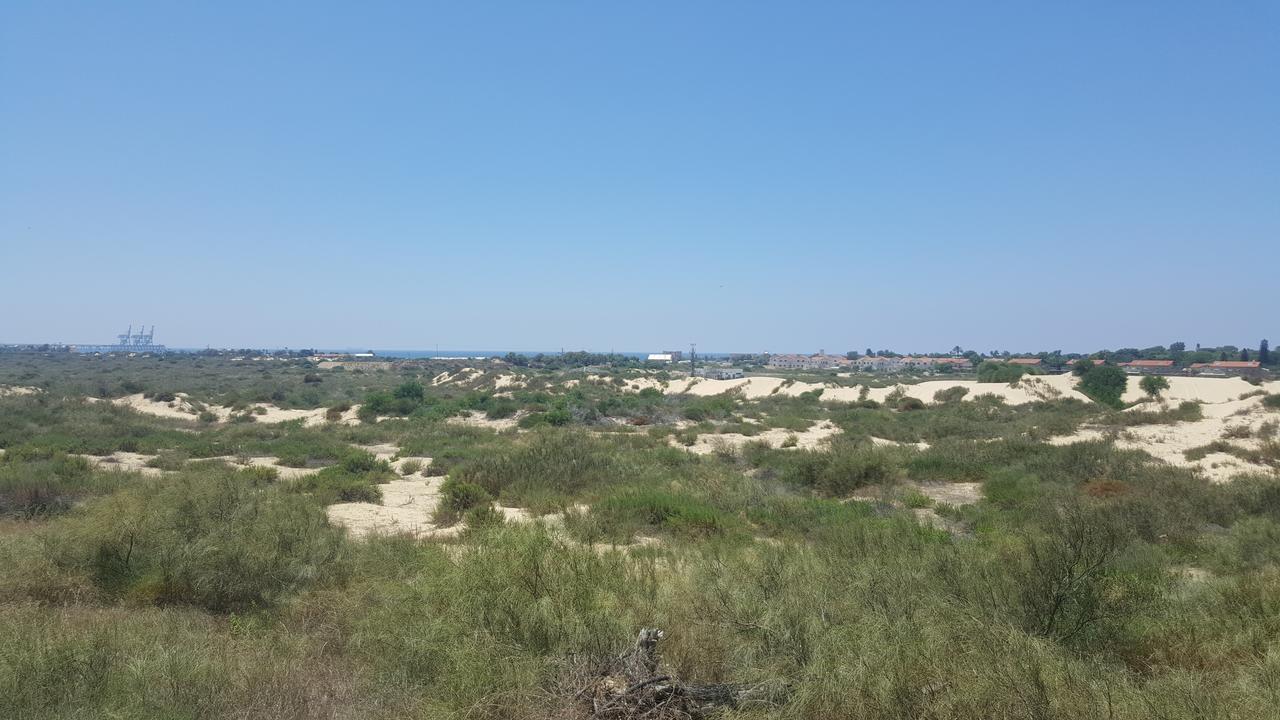 Neot Golf Caesarea Garden Apartment מראה חיצוני תמונה